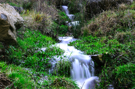 Cour d'eau