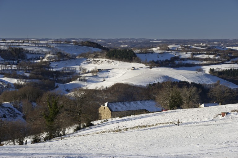 Montagne en hivers